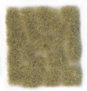 PRINCE AUGUST  SC 429 12mm Beige