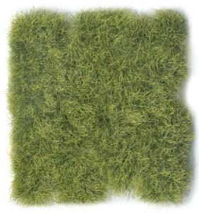 PRINCE AUGUST  SC 428 12mm JUNGLE