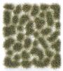 PRINCE AUGUST  SC 416 6mm Assortiment vert