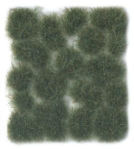 PRINCE AUGUST  SC 427 12mm Vert clair