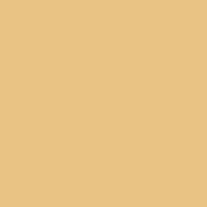  PEINTURE PRINCE AUGUST GAMME AIR P074 BEIGE RADOME