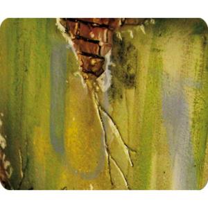 VAL73822 Effet d’environnement salissure humide foncée 40ml