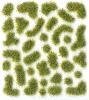 PRINCE AUGUST  SC 404 Mousse  sauvage 2mm vert