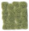 PRINCE AUGUST  SC 426 12mm Vert clair