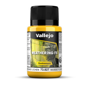 VAL73827 Effet d’environnement moisissure et lichen 40ml