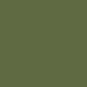  PEINTURE PRINCE AUGUST GAMME AIR P007 VERT OLIVE