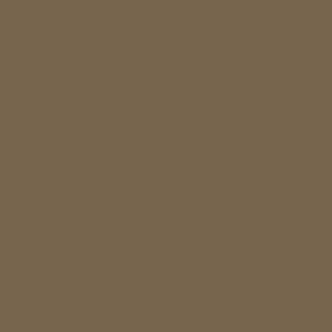  PEINTURE PRINCE AUGUST GAMME AIR P0136 TERRE MARRON IJA