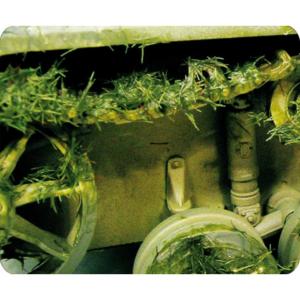 VAL73825 Effet d’environnement herbe écrasée 40ml