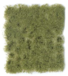 PRINCE AUGUST  SC 413 6mm Vert dense