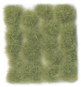 PRINCE AUGUST  SC 426 12mm Vert clair